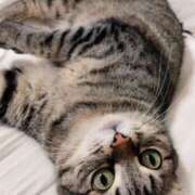 ヒメ日記 2025/01/08 23:54 投稿 りん スピードエコ天王寺店