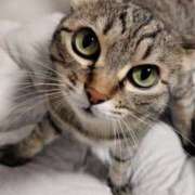 ヒメ日記 2025/01/09 09:30 投稿 りん スピードエコ天王寺店