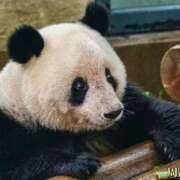 ヒメ日記 2025/01/15 10:20 投稿 りん スピードエコ天王寺店