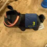 ヒメ日記 2025/02/04 22:41 投稿 りん スピードエコ天王寺店