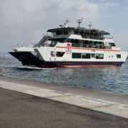 ヒメ日記 2025/02/20 11:36 投稿 りん スピードエコ天王寺店