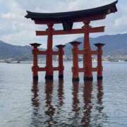 ヒメ日記 2025/02/20 14:50 投稿 りん スピードエコ天王寺店