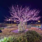 ヒメ日記 2025/02/21 02:50 投稿 りん スピードエコ天王寺店