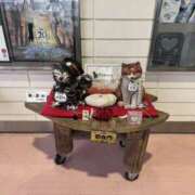 ヒメ日記 2025/02/23 17:10 投稿 りん スピードエコ天王寺店