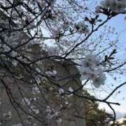 ヒメ日記 2025/04/09 15:10 投稿 りん スピードエコ天王寺店