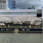 ヒメ日記 2025/04/10 11:40 投稿 りん スピードエコ天王寺店