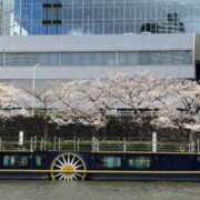 ヒメ日記 2025/04/12 17:50 投稿 りん スピードエコ天王寺店