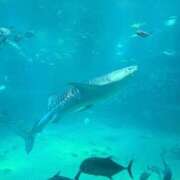 ヒメ日記 2025/04/14 02:10 投稿 りん スピードエコ天王寺店