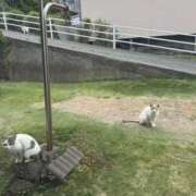 ヒメ日記 2025/05/16 21:40 投稿 りん スピードエコ天王寺店