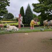 ヒメ日記 2025/05/20 01:30 投稿 りん スピードエコ天王寺店