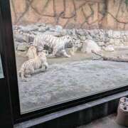 ヒメ日記 2025/05/20 14:40 投稿 りん スピードエコ天王寺店