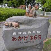 ヒメ日記 2025/05/20 21:56 投稿 りん スピードエコ天王寺店