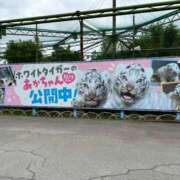 ヒメ日記 2025/05/21 18:20 投稿 りん スピードエコ天王寺店