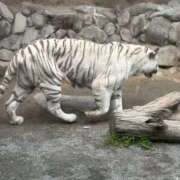 ヒメ日記 2025/05/22 03:30 投稿 りん スピードエコ天王寺店