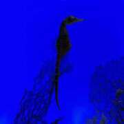 ヒメ日記 2025/05/27 16:50 投稿 りん スピードエコ天王寺店