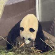 ヒメ日記 2025/06/22 17:30 投稿 りん スピードエコ天王寺店