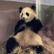 ヒメ日記 2025/06/22 19:00 投稿 りん スピードエコ天王寺店