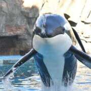 ヒメ日記 2025/07/28 12:00 投稿 りん スピードエコ天王寺店