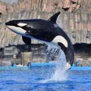 ヒメ日記 2025/08/20 17:50 投稿 りん スピードエコ天王寺店