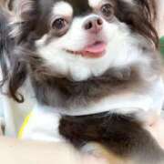 ヒメ日記 2025/10/08 21:20 投稿 りん スピードエコ天王寺店