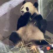 ヒメ日記 2026/01/28 19:20 投稿 りん スピードエコ天王寺店