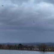 ヒメ日記 2024/12/11 23:04 投稿 ほのか 熟女の風俗最終章 新潟店