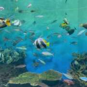 ヒメ日記 2025/03/25 16:14 投稿 ほのか 熟女の風俗最終章 新潟店