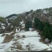 ヒメ日記 2025/04/24 12:58 投稿 ほのか 熟女の風俗最終章 新潟店