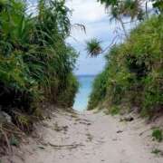 ヒメ日記 2025/04/28 19:16 投稿 ほのか 熟女の風俗最終章 新潟店