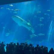 ヒメ日記 2025/10/05 17:49 投稿 ほのか 熟女の風俗最終章 新潟店