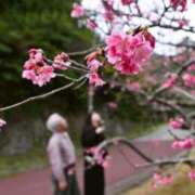 ヒメ日記 2026/01/15 22:53 投稿 ほのか 熟女の風俗最終章 新潟店
