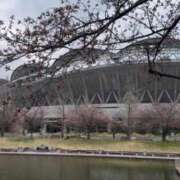 ヒメ日記 2026/04/01 15:43 投稿 ほのか 熟女の風俗最終章 新潟店