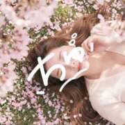 ヒメ日記 2026/04/03 11:53 投稿 ほのか 熟女の風俗最終章 新潟店