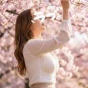 ヒメ日記 2026/04/04 10:03 投稿 ほのか 熟女の風俗最終章 新潟店