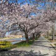 ヒメ日記 2026/04/08 12:23 投稿 ほのか 熟女の風俗最終章 新潟店