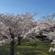 ヒメ日記 2026/04/08 17:30 投稿 ほのか 熟女の風俗最終章 新潟店