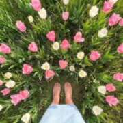 ヒメ日記 2026/04/09 06:59 投稿 ほのか 熟女の風俗最終章 新潟店