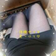 ヒメ日記 2025/11/24 11:36 投稿 美波 モアグループ所沢人妻城