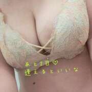 ヒメ日記 2026/02/02 22:12 投稿 美波 モアグループ所沢人妻城