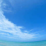 ヒメ日記 2026/04/01 13:12 投稿 美波 モアグループ所沢人妻城