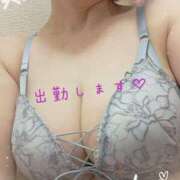 ヒメ日記 2026/06/24 08:51 投稿 美波 モアグループ所沢人妻城