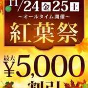 ヒメ日記 2023/11/24 14:51 投稿 千堂 新宿人妻城