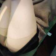 ヒメ日記 2025/01/11 15:42 投稿 まみ 奥様メモリアル