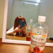 ヒメ日記 2025/04/08 16:03 投稿 まみ 奥様メモリアル