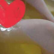 ヒメ日記 2025/07/17 10:27 投稿 まみ 奥様メモリアル