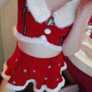 まみ プリウスさん 奥様メモリアル