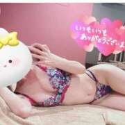 ヒメ日記 2025/02/27 20:07 投稿 最上 ANECOTE