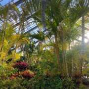 ヒメ日記 2025/03/20 22:11 投稿 最上 ANECOTE