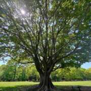 ヒメ日記 2025/05/13 20:45 投稿 最上 ANECOTE