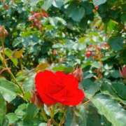 ヒメ日記 2025/05/13 22:09 投稿 最上 ANECOTE